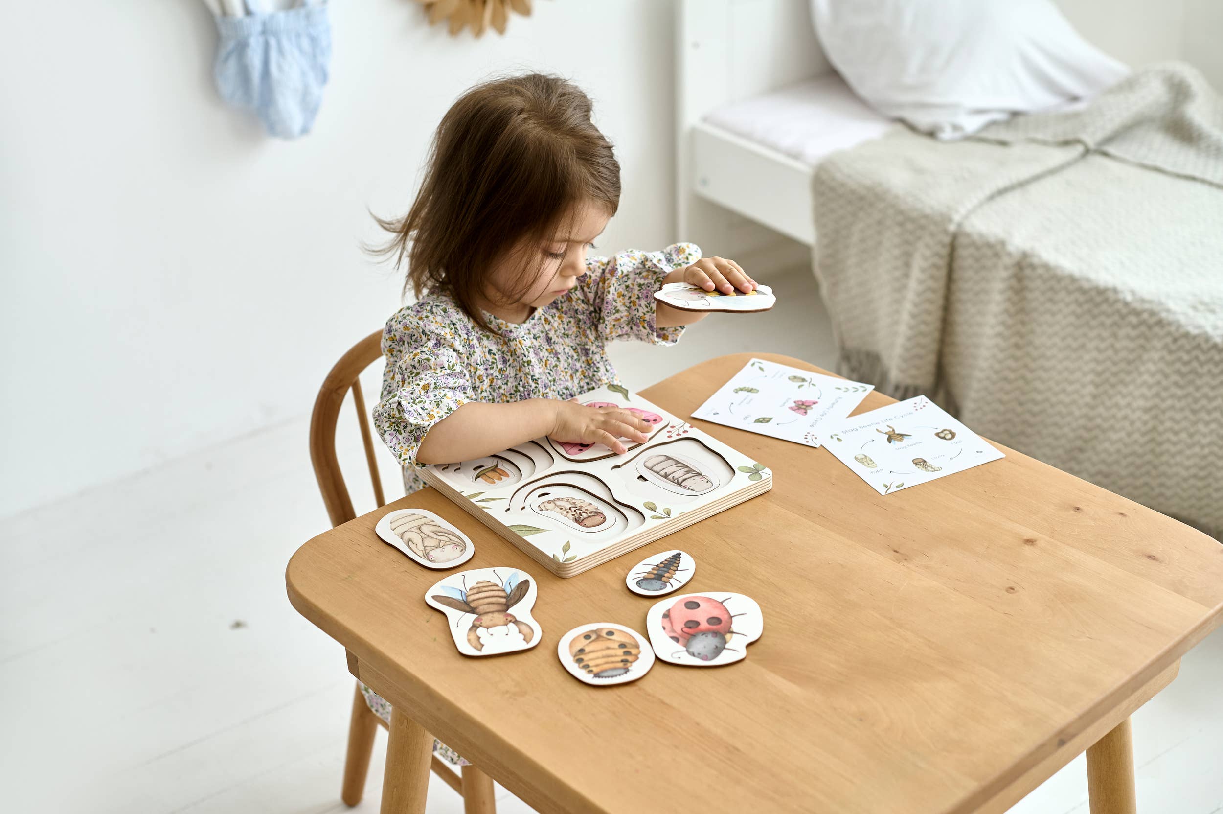 Lebenszyklus der Insekten Holzpuzzle Montessori Lernspielzeug