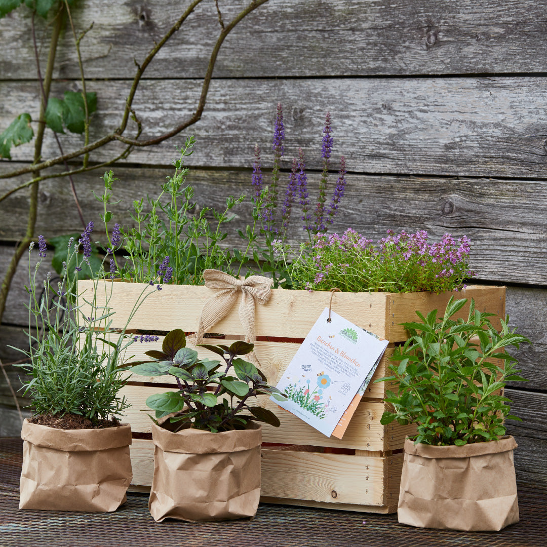 Kräuterkiste "Blümchen & Bienchen"