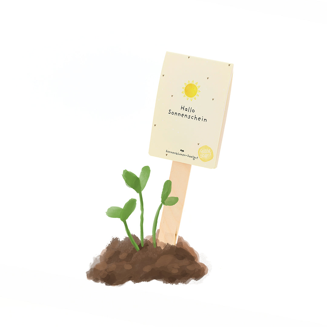 Hallo Sonnenschein - Saatgruß