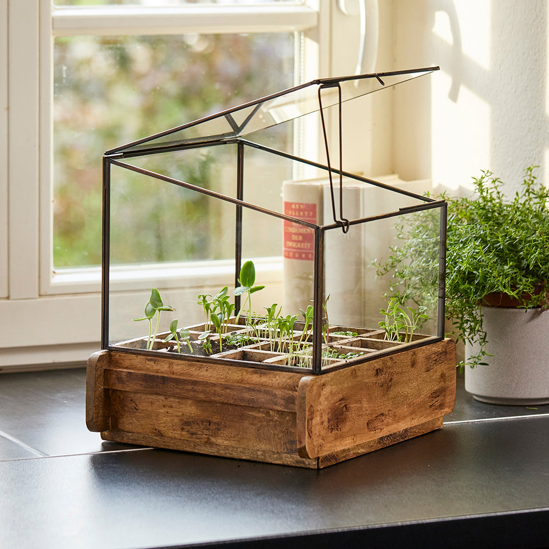 Hochwertiges Anzuchthaus mit 16 Fächern