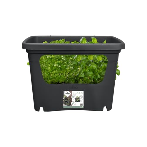 elho Green Basics Stack & Grow 50 - Übertopf für Außen Züchten Und Ernten - Ø 50.9 x H 35.7 cm - Schwarz/Living Schwarz