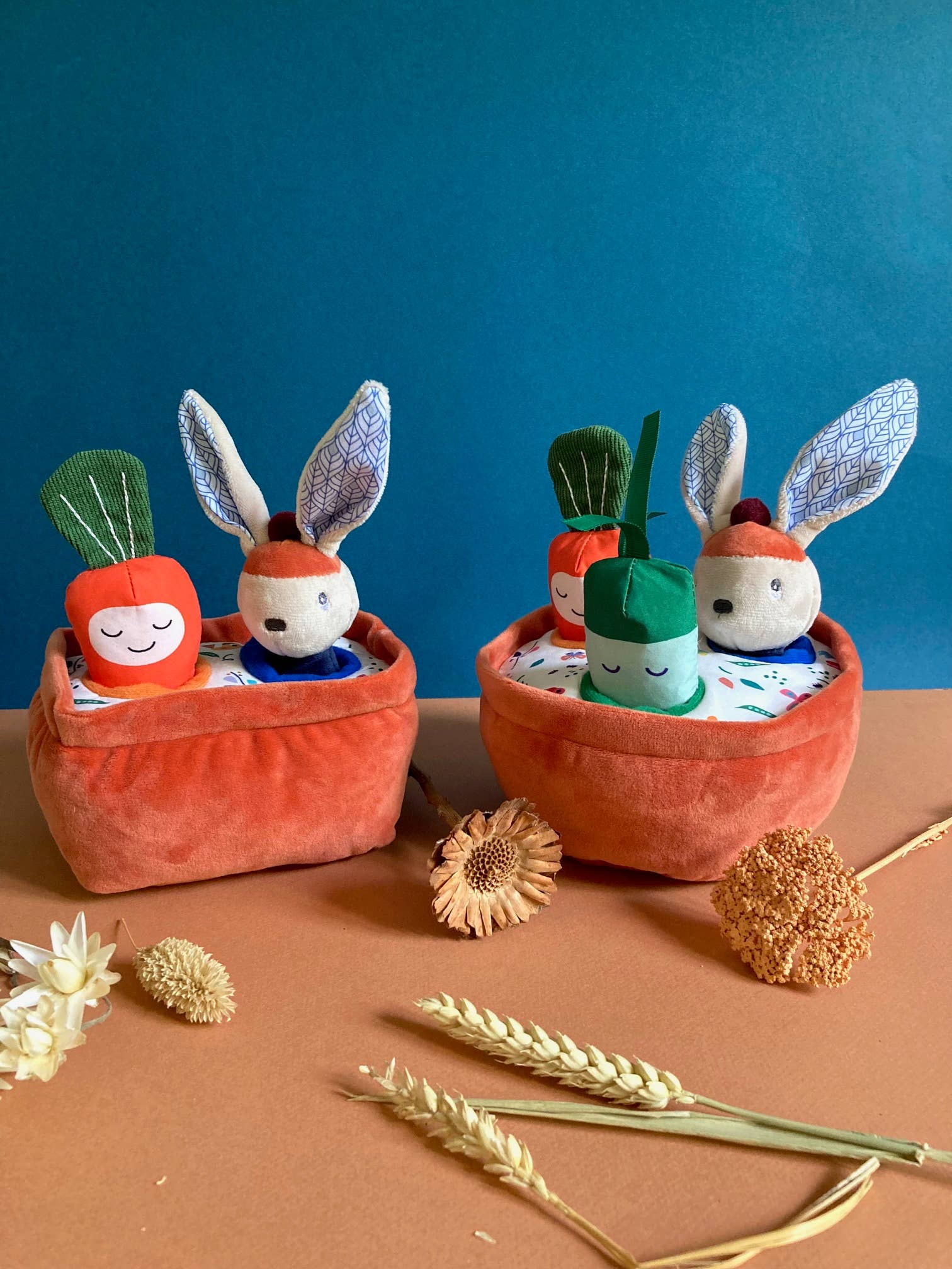 NEU. Gabin Rabin's Gemüsegarten mit 3 Aktivitätsspielzeugen