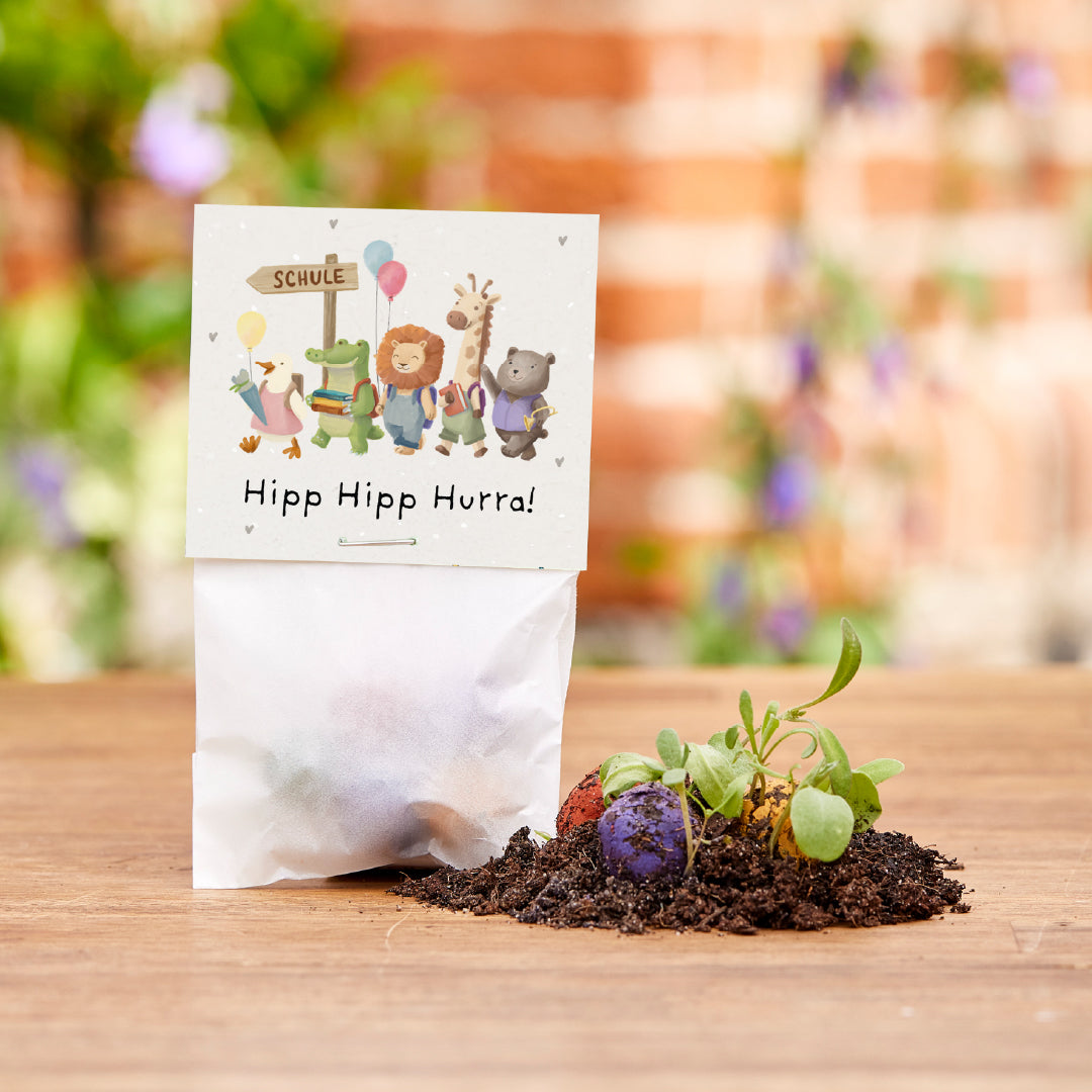5 Blumenmurmeln im Tütchen zur Einschulung "Hipp Hipp Hurra!"