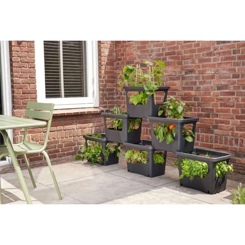 elho Green Basics Stack & Grow 50 - Übertopf für Außen Züchten Und Ernten - Ø 50.9 x H 35.7 cm - Schwarz/Living Schwarz