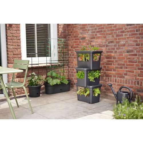 elho Green Basics Stack & Grow 50 - Übertopf für Außen Züchten Und Ernten - Ø 50.9 x H 35.7 cm - Schwarz/Living Schwarz