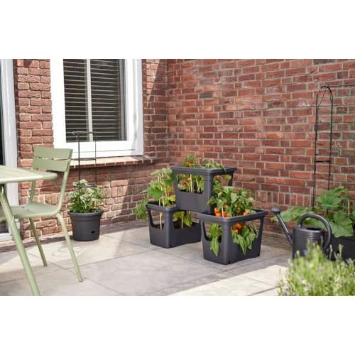elho Green Basics Stack & Grow 50 - Übertopf für Außen Züchten Und Ernten - Ø 50.9 x H 35.7 cm - Schwarz/Living Schwarz
