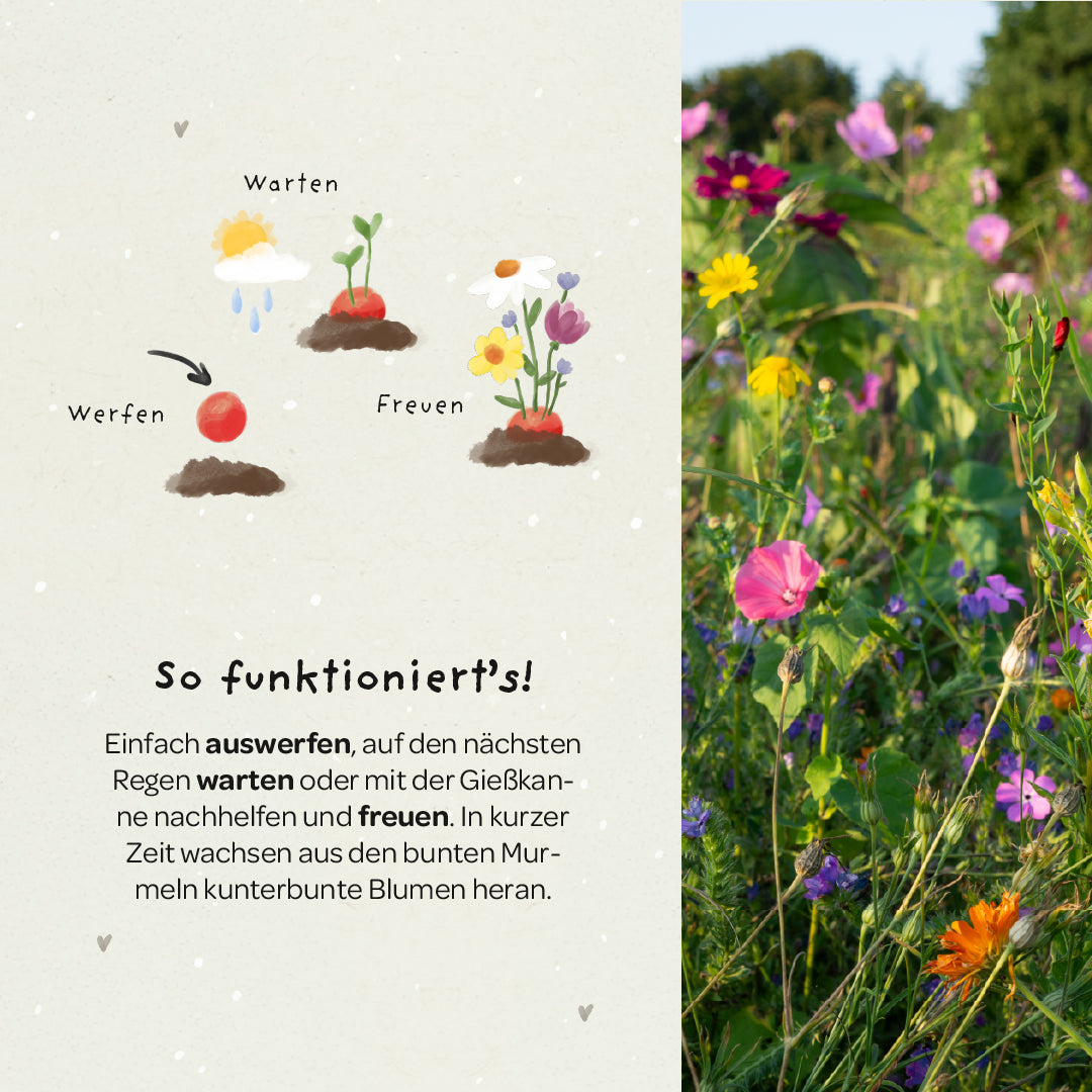 5 Blumenmurmeln im Tütchen zur Einschulung "Endlich Schulkind"