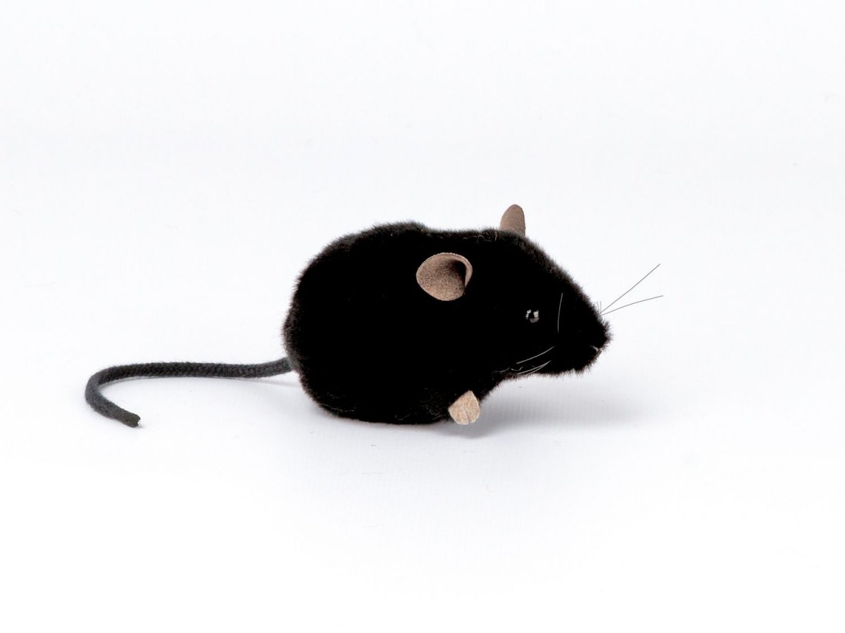 Kösener- MAUS schwarz