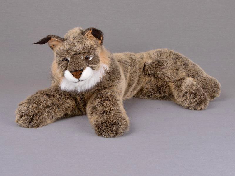 Kösener-Luchs liegend.