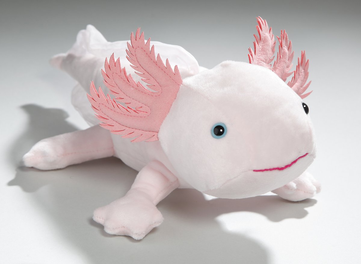 Axolotl, Monsterfisch ca. 33 cm