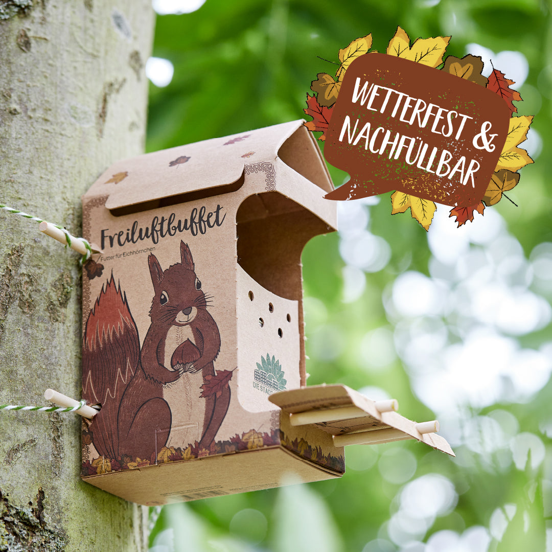 Freiluftbuffet für Eichhörnchen