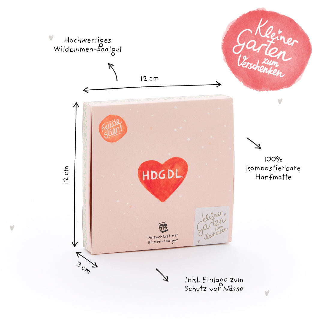Pflanzkästchen - HDGDL - Hab dich ganz doll lieb