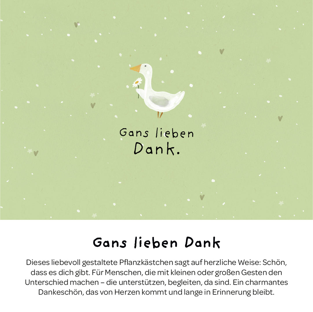 Pflanzkästchen - Gans lieben Dank