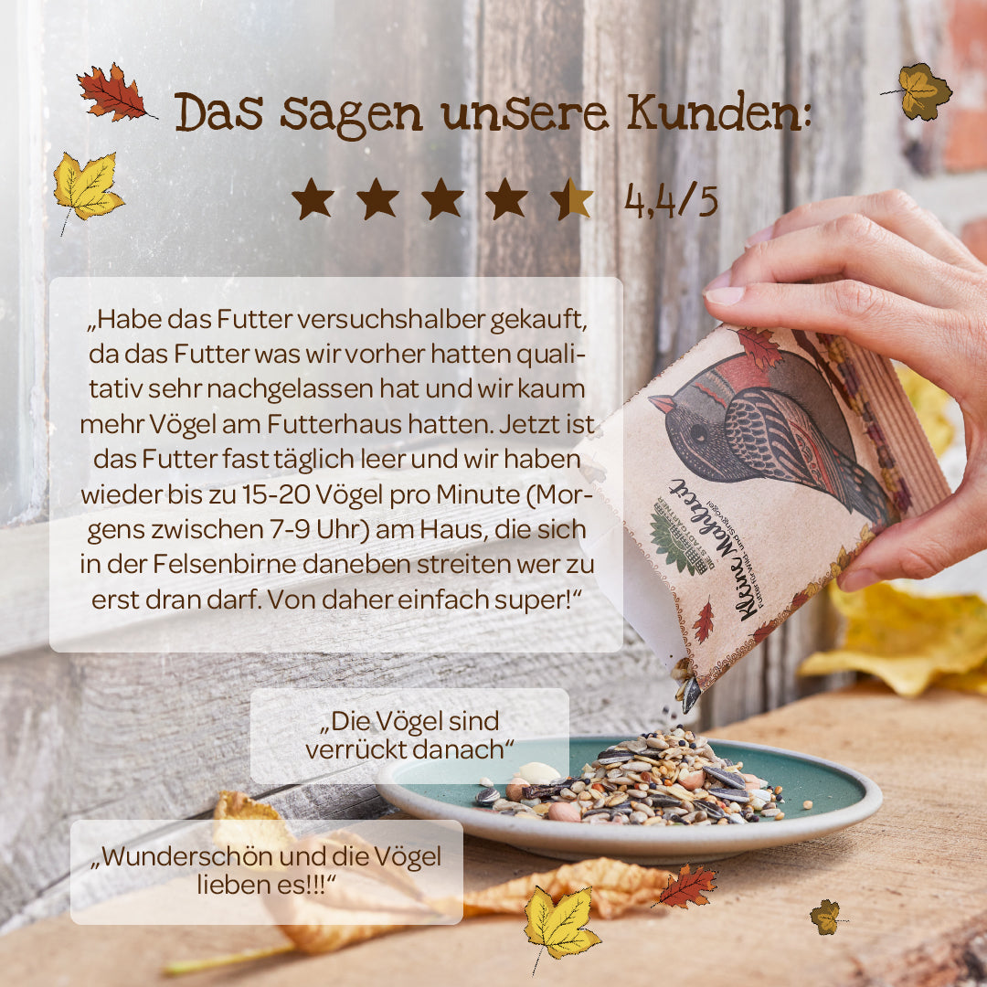 Kleine Mahlzeit – Vogelfutter