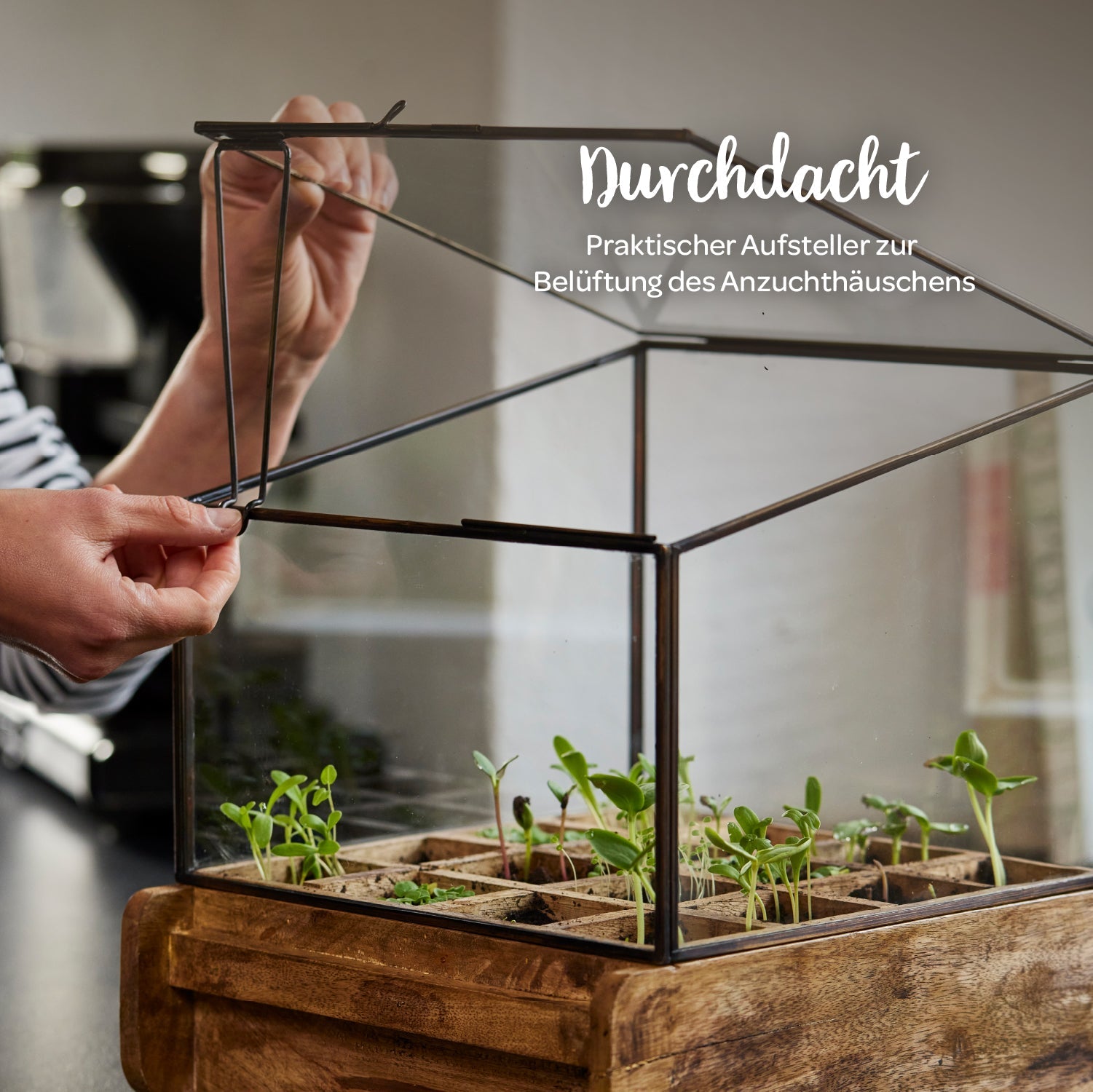 Hochwertiges Anzuchthaus mit 16 Fächern