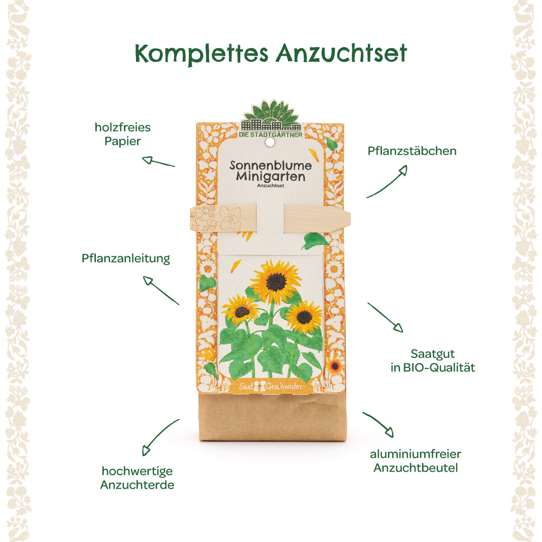 Anzuchtset – Minigarten BIO-Sonnenblume