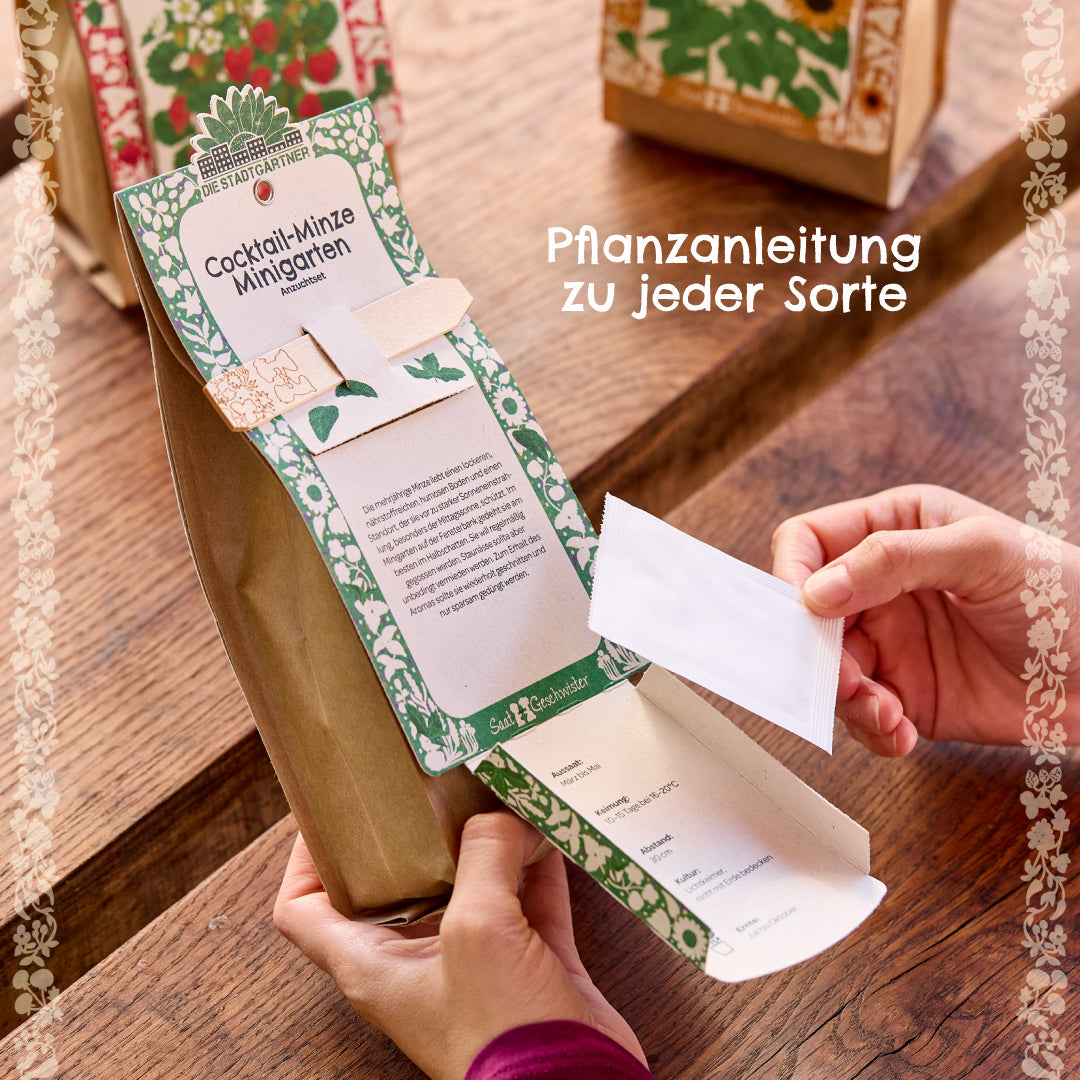 Anzuchtset – Minigarten Klimabaum