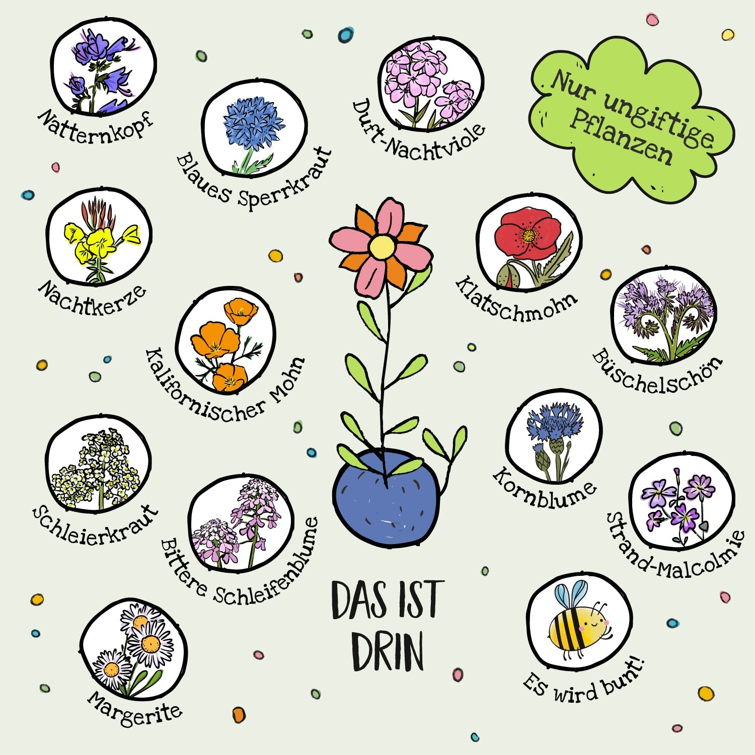 10x5 Blumenmurmeln im Tütchen – Blumenschatz