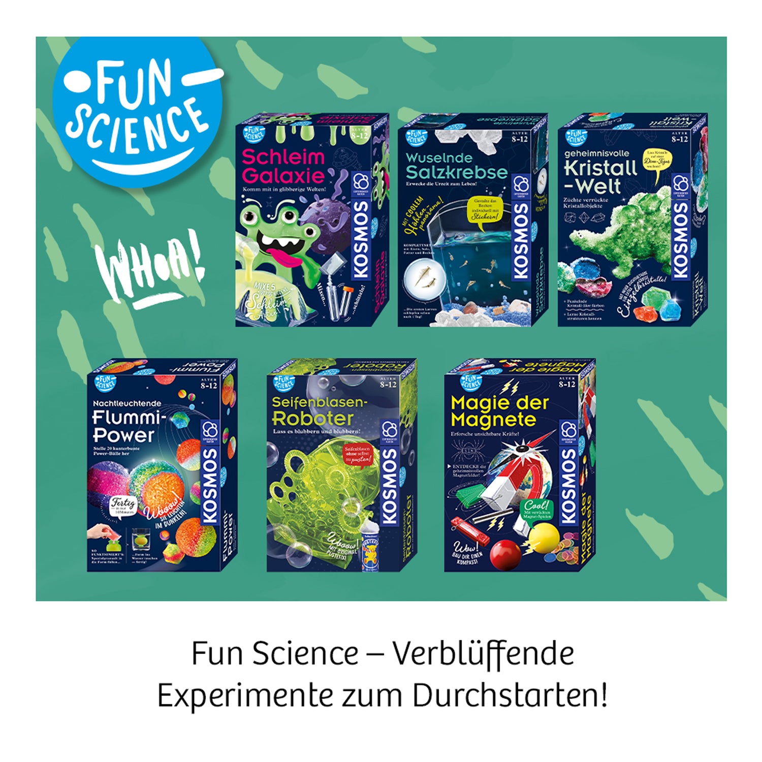 Fun Science Magie der Magnete