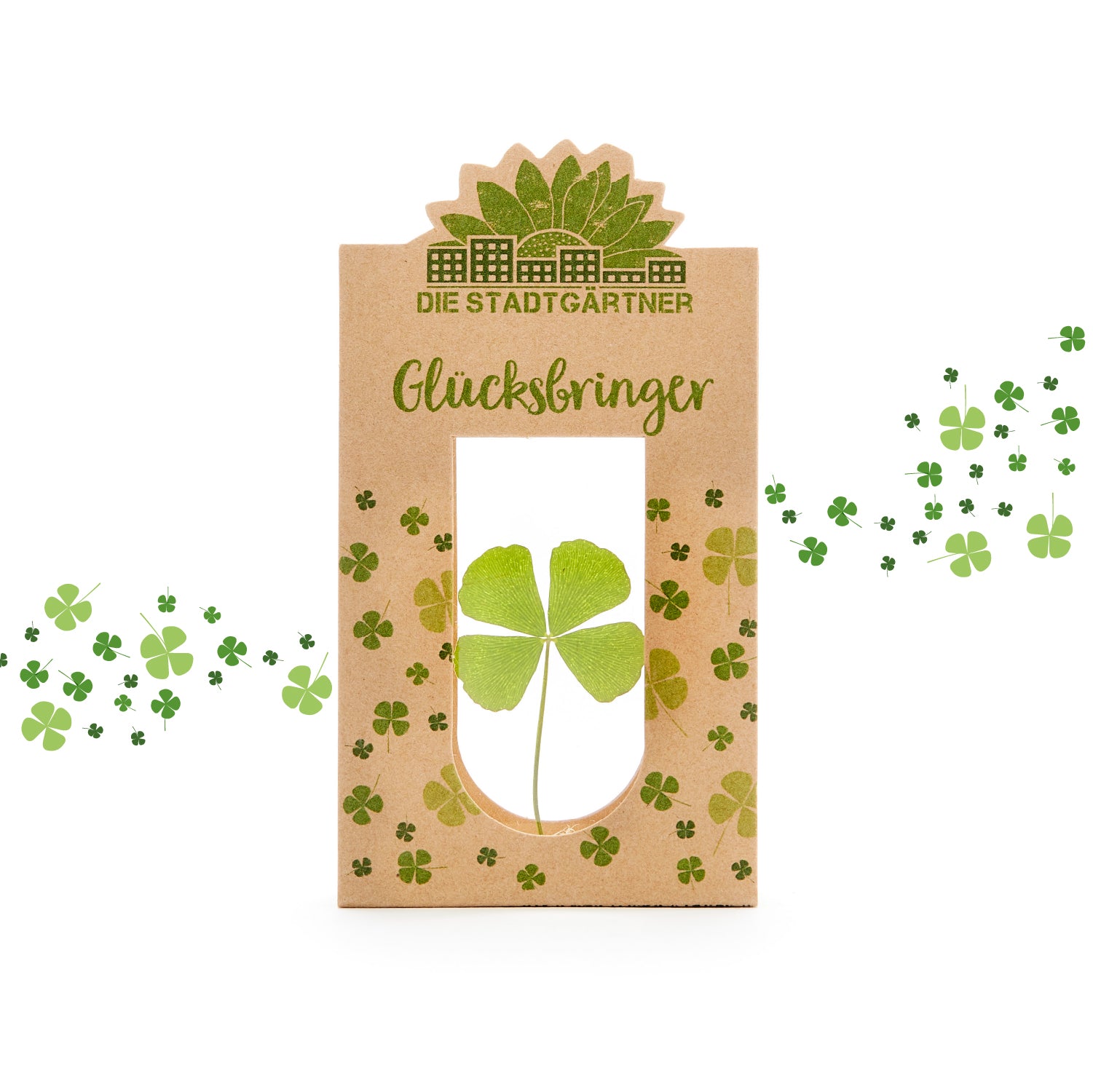 Glücksbringer – Echtes Kleeblatt