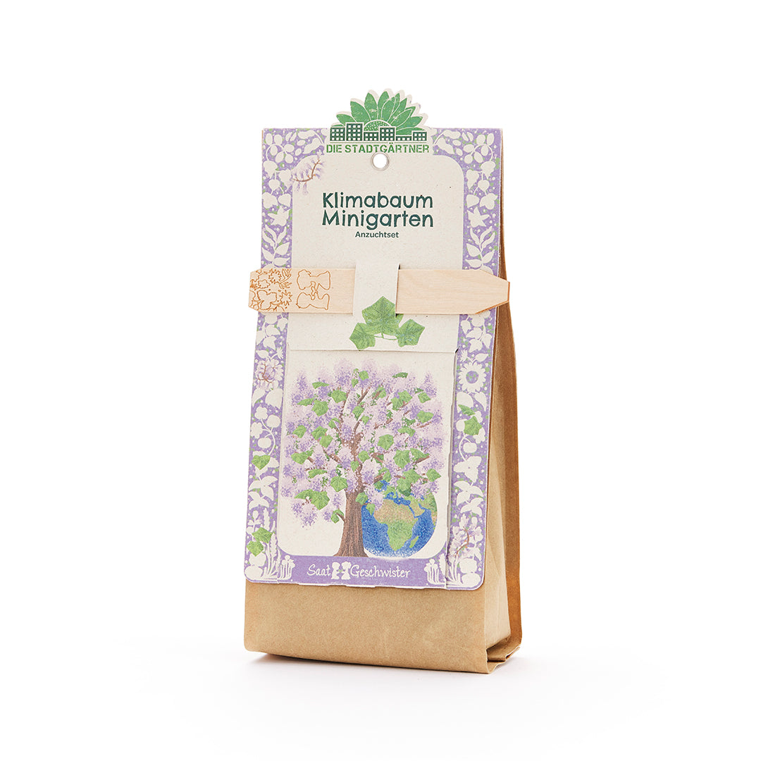 Anzuchtset – Minigarten Klimabaum