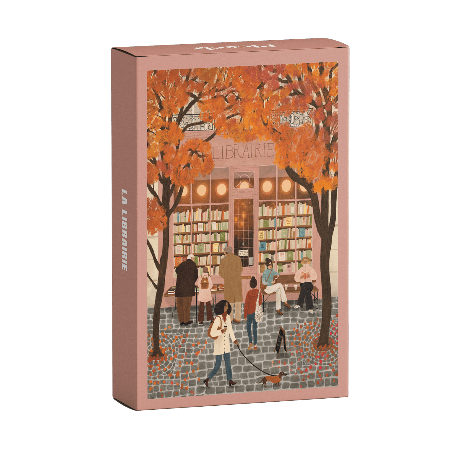 Piecely La Librairie Minipuzzle, 99 Teile