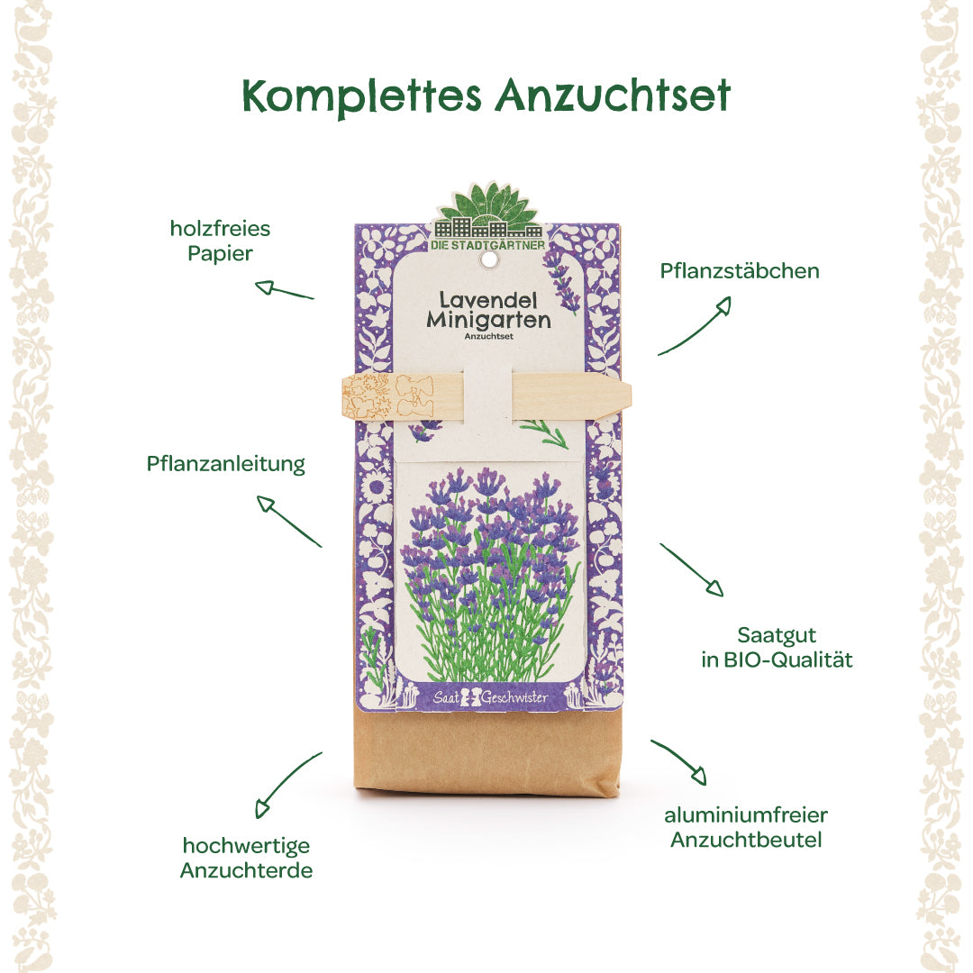 Anzuchtset – Minigarten BIO-Lavendel