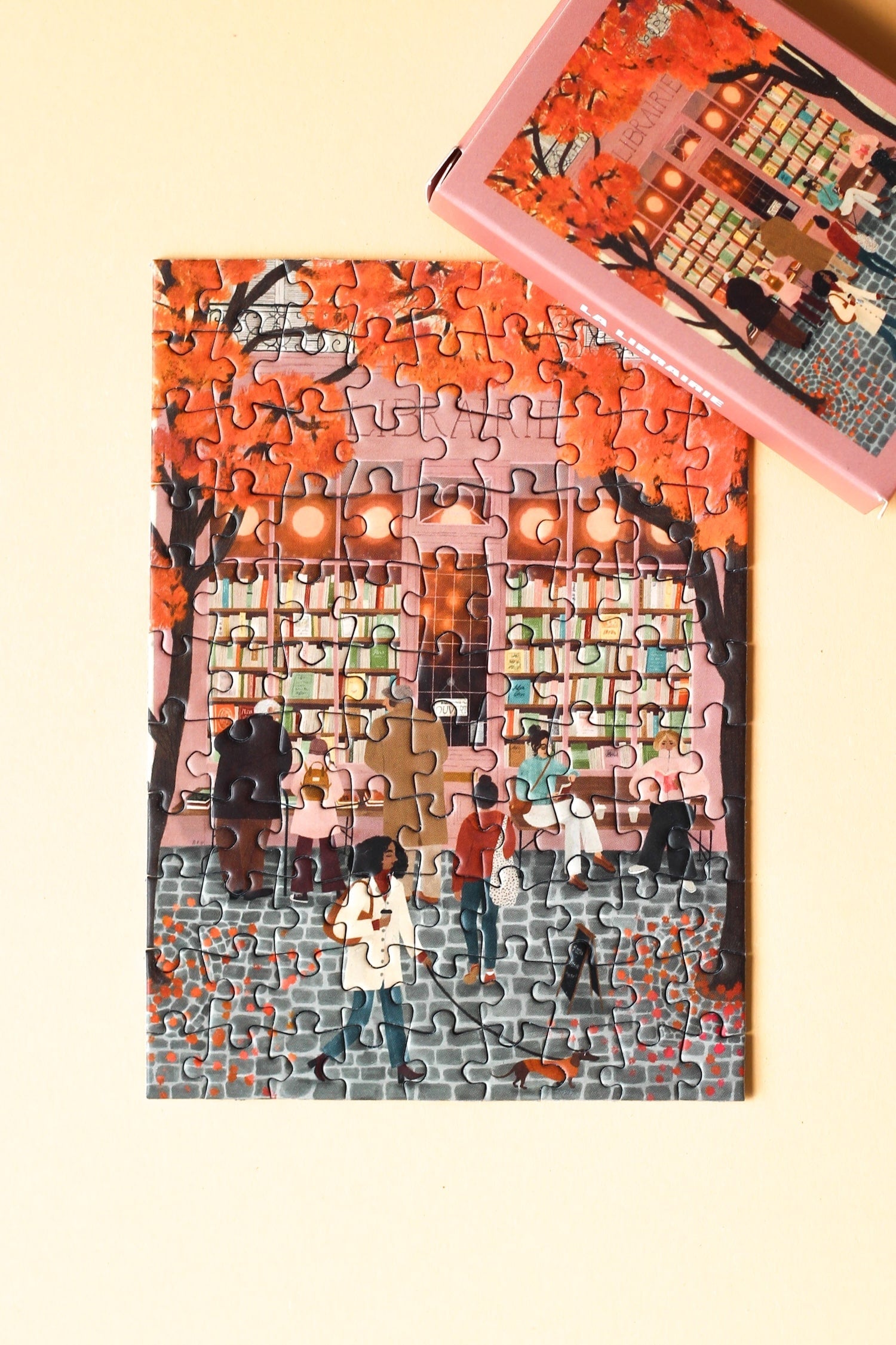 Piecely La Librairie Minipuzzle, 99 Teile