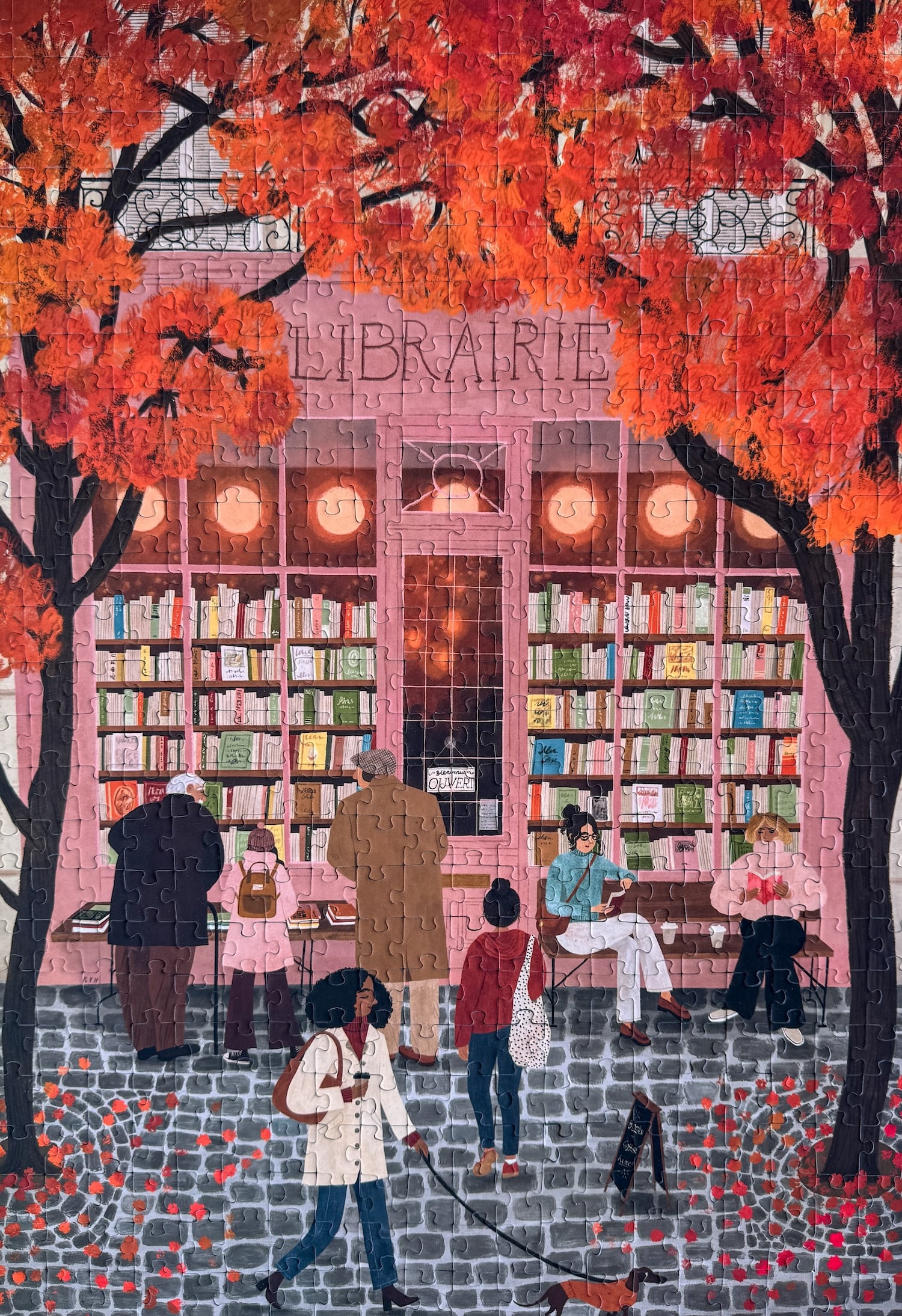 Piecely La Librairie Puzzle, 500 Teile
