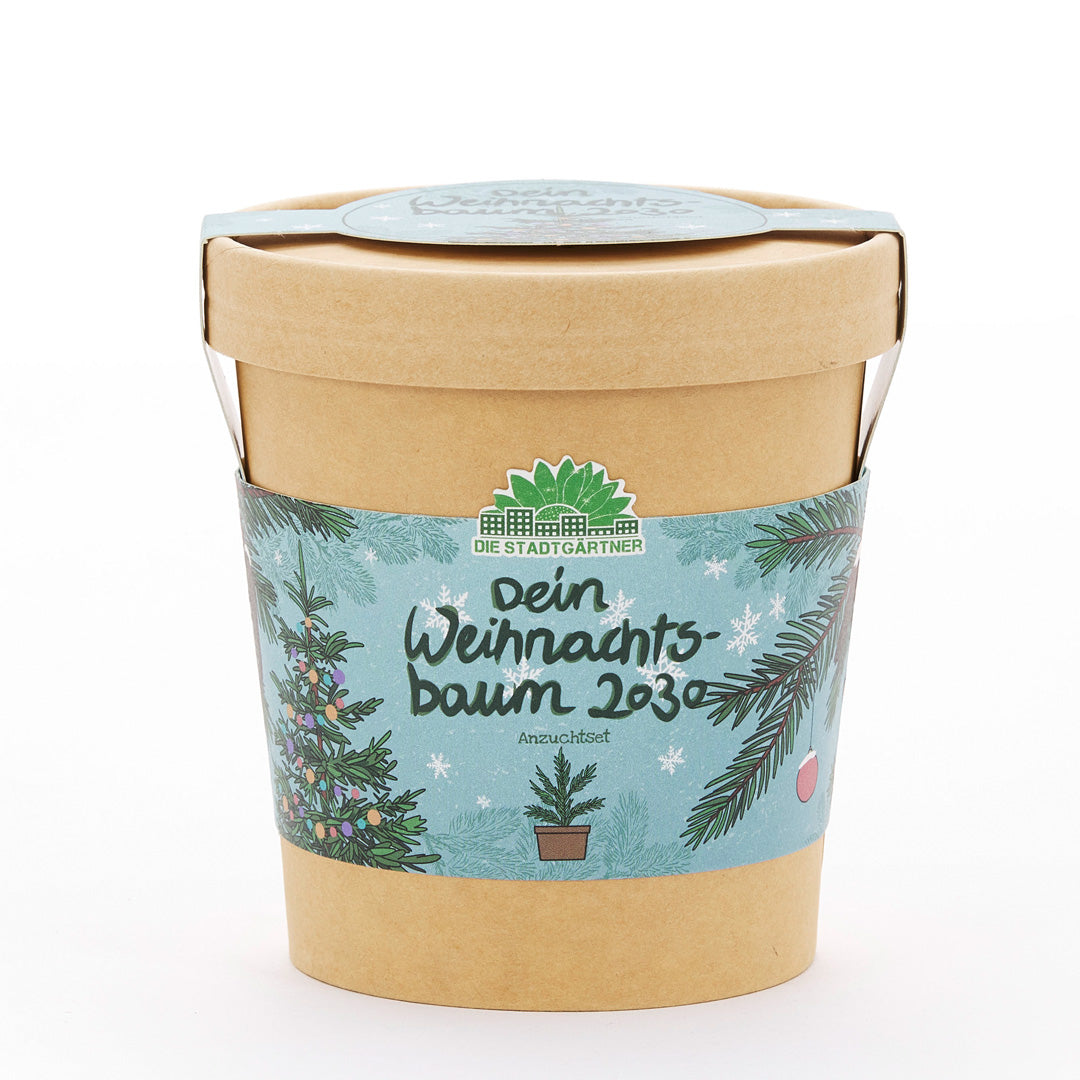 Weihnachtsbaum 2030 aus dem Becher