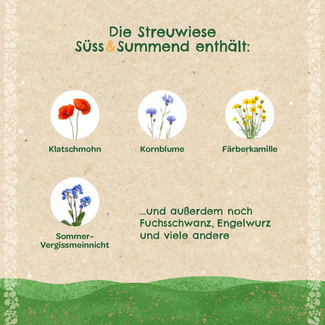 Streuwiese "Süß & Summend"
