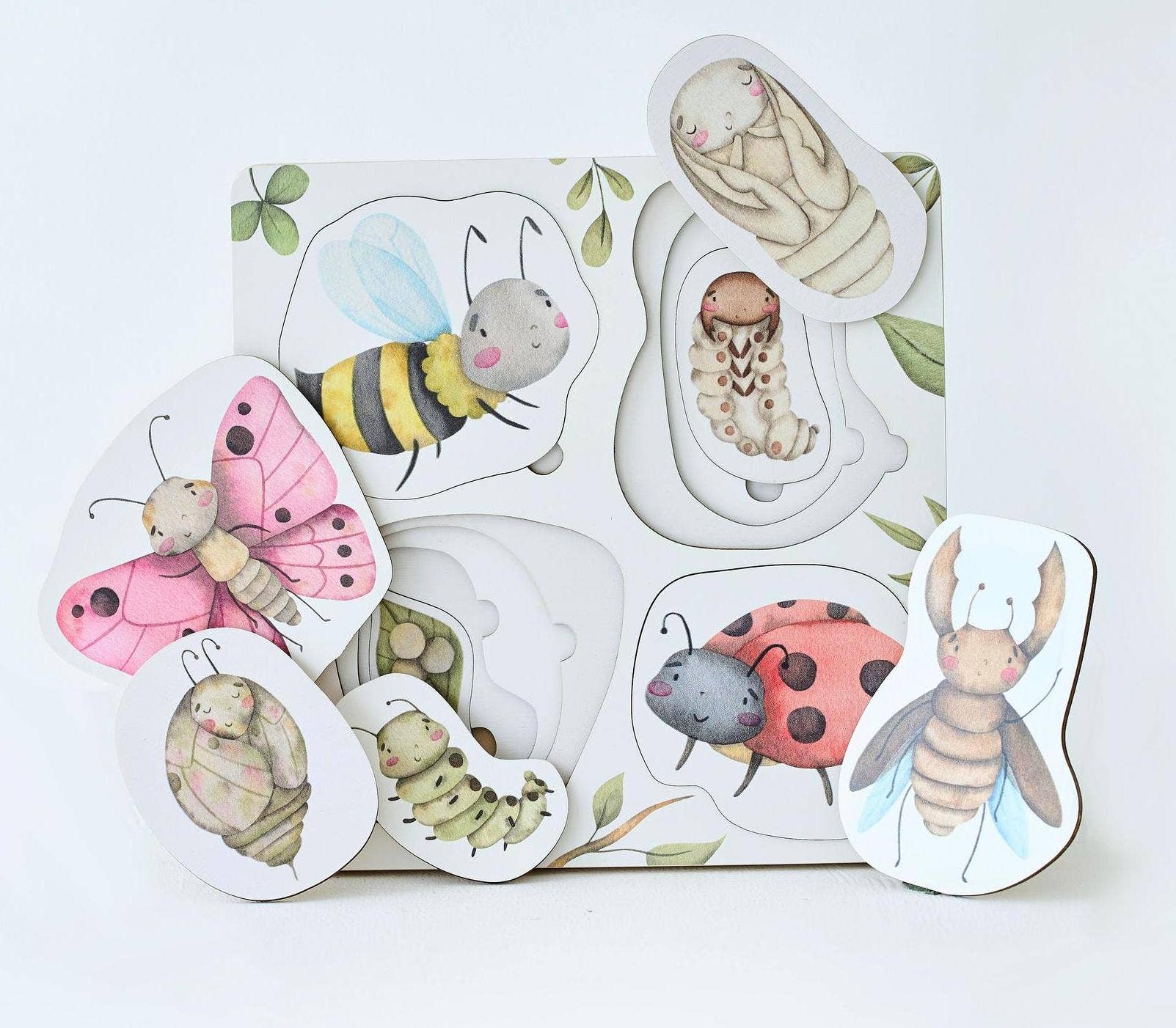 Lebenszyklus der Insekten Holzpuzzle Montessori Lernspielzeug