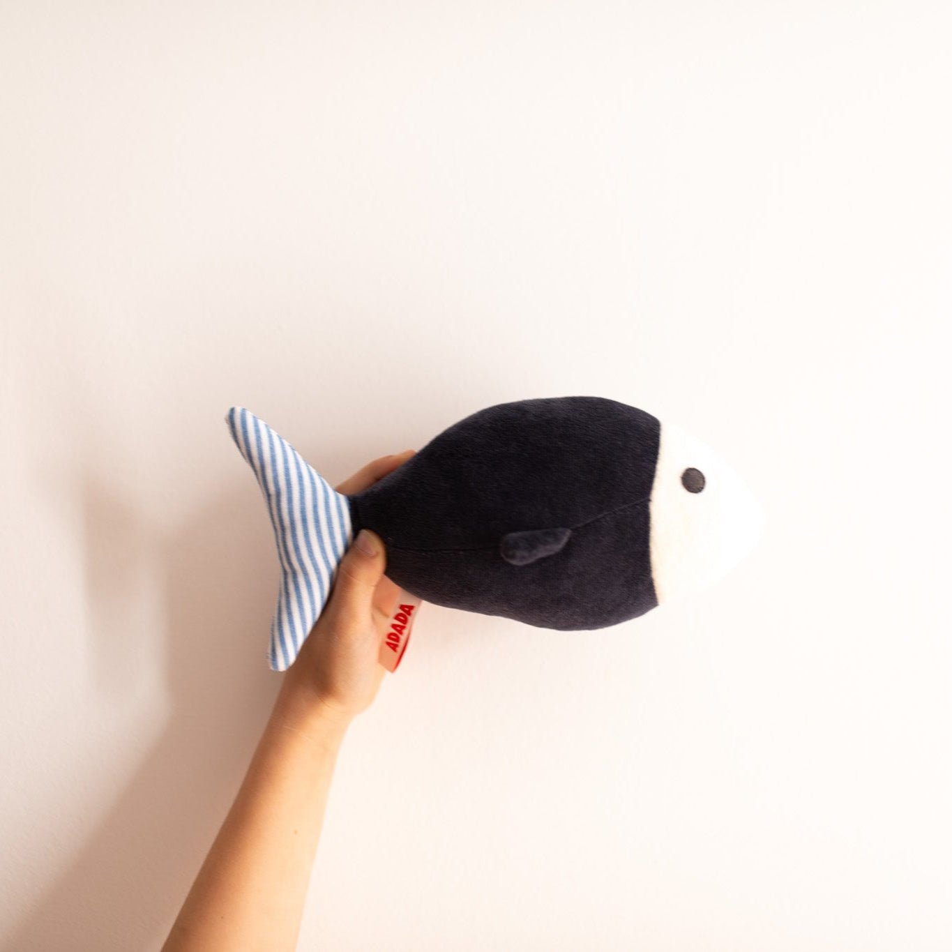 ELLIOT LE POISSON - S