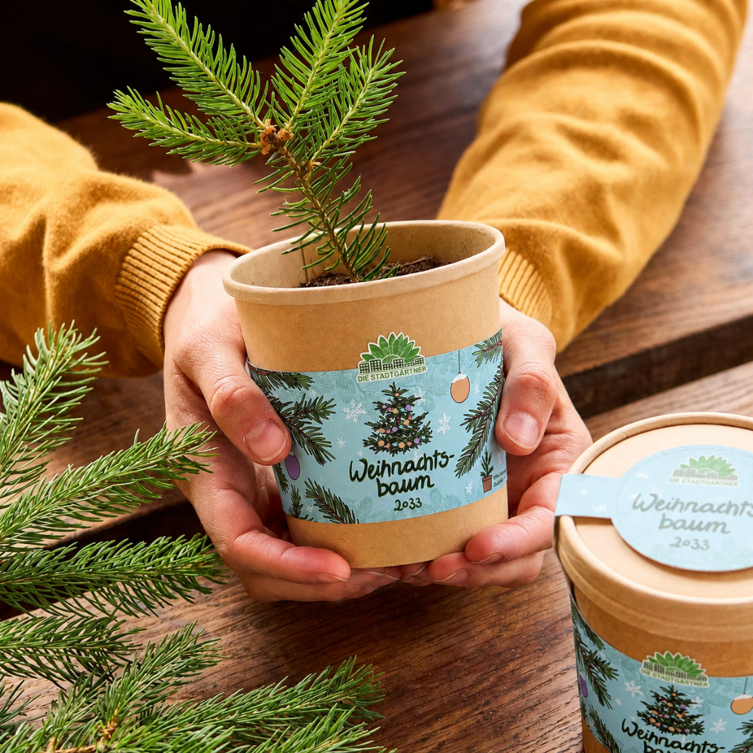 Weihnachtsbaum 2030 aus dem Becher