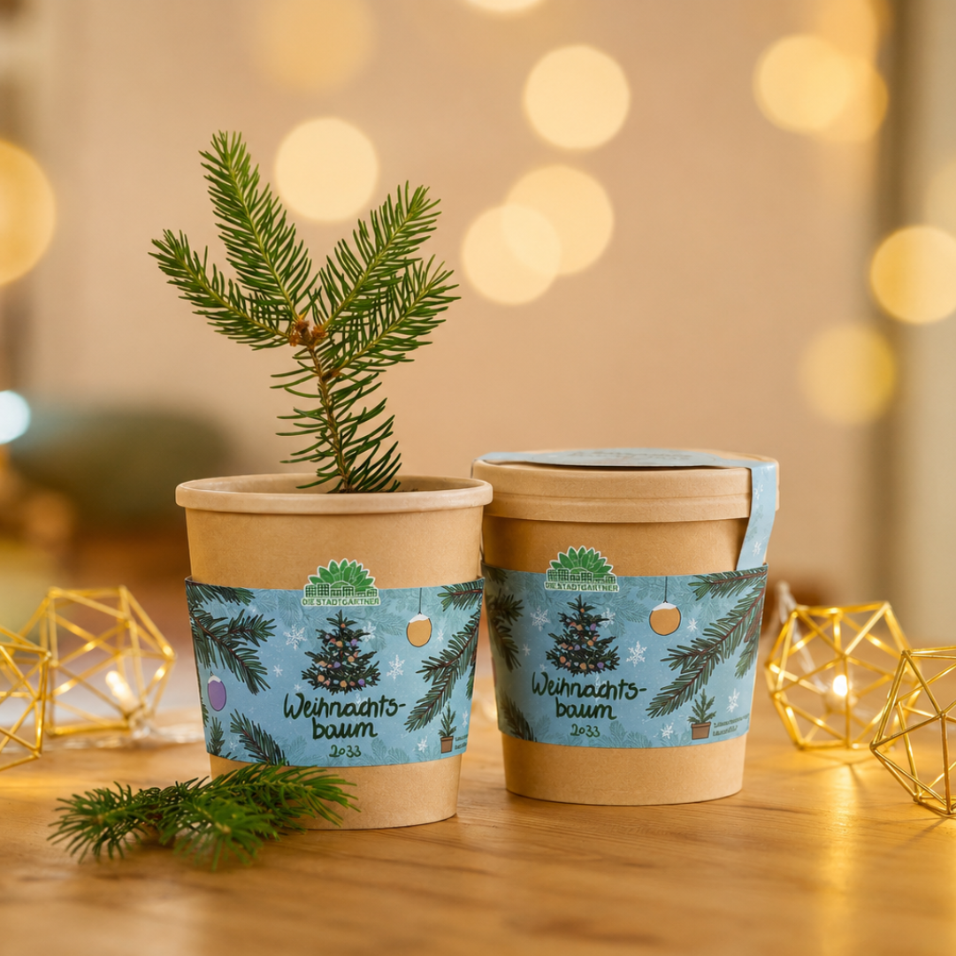 Weihnachtsbaum 2030 aus dem Becher