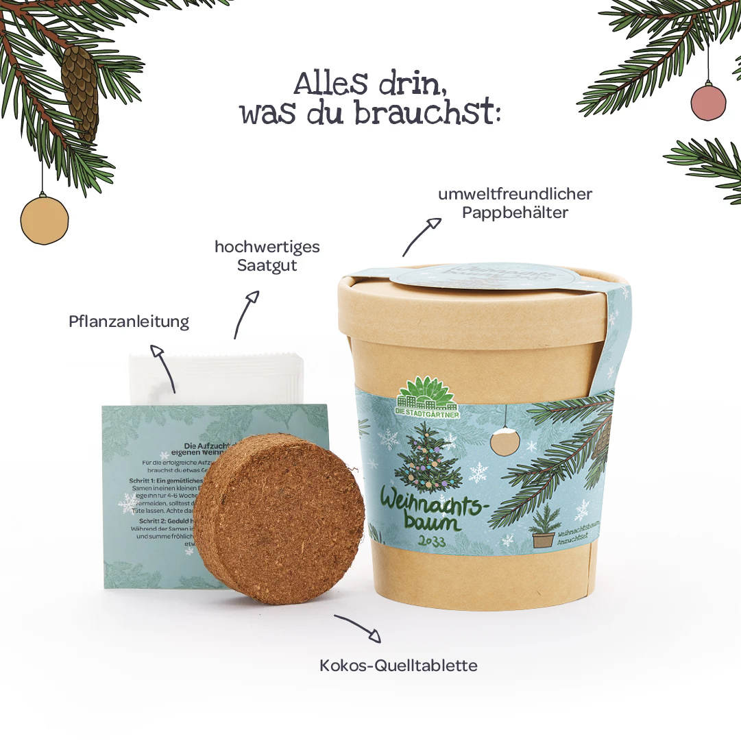 Weihnachtsbaum 2030 aus dem Becher