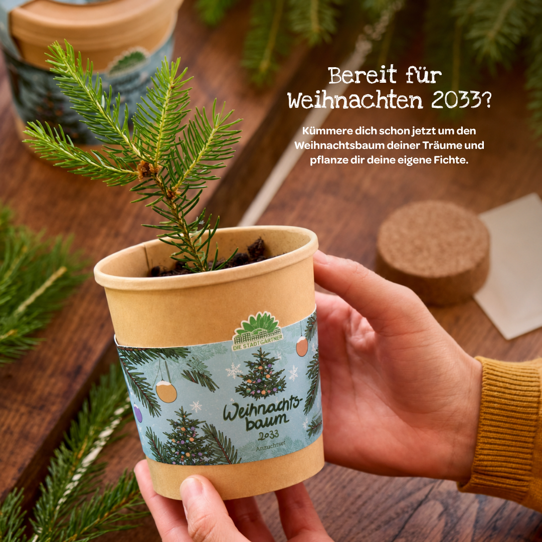 Weihnachtsbaum 2030 aus dem Becher