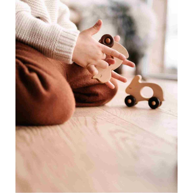 Wooden Story – Spielzeug auf Rädern Ente | Natur